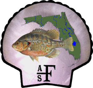 AFS Florida Chapter Logo